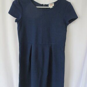 Navy Blue School Uniform Dress